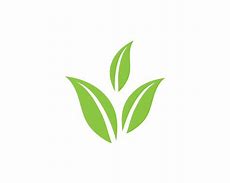 Image result for Leaf Logo Green Background Chill