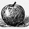 Image result for Purple Apple Drawing