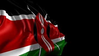 Image result for Kenyan Flag