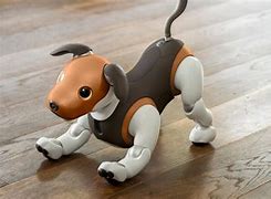 Image result for Sony Music Dog Toy