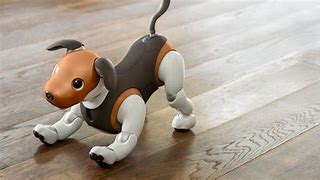 Image result for Aibo Sony Colors