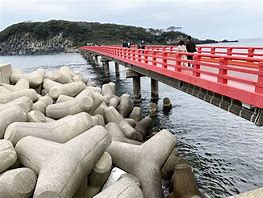 Image result for Oshima Island Kensenuma