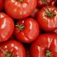 Image result for Freezing Tomatoes