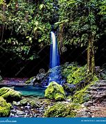 Image result for dominica