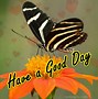 Image result for Good Day Pictures