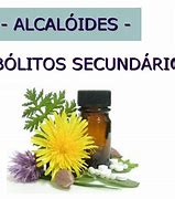 Image result for alcalodis