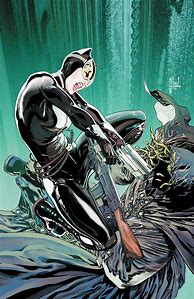Image result for DC Comics Catwoman Art