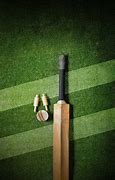 Image result for Cricket Bug Aesthetic