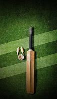 Image result for Cricket Aesthetic Boeling