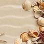 Image result for Seashell Wallpaper PC