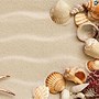 Image result for Sea Shell Wallpaper for Wall
