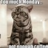 Image result for No Creamer for Coffee Meme