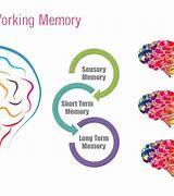 Image result for Working Memory