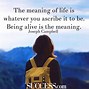 Image result for Meaning of Life Quotes Famous