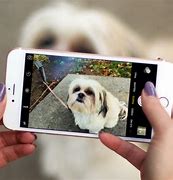 Image result for iphone 6 plus cameras
