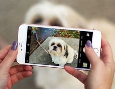 Image result for iPhone 6s Camera Photos