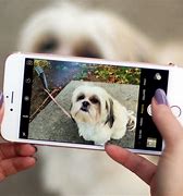Image result for iPhone 6s Camera Review