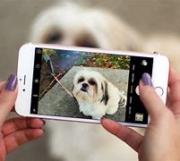 Image result for iphone 6s plus cameras