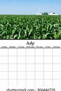 Image result for Blank Calendar Monthly