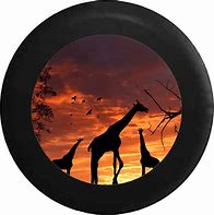 Image result for Giraffe Sunset