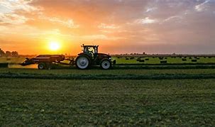 Image result for Arizona Agriculture