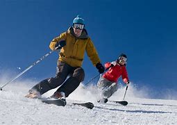 Image result for Alpine Skiing