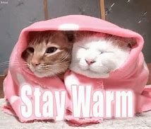 Image result for Chillin Animation a Cold Day