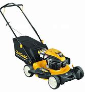 Image result for Cub Cadet Push Lawn Mowers