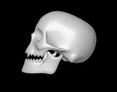 Image result for Skull with Sharp Teeth