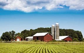 Image result for Local Farm Markets Near Me