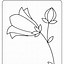 Image result for Drawings of Flowers No Color