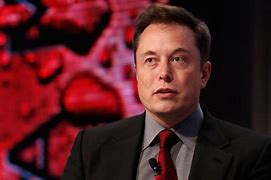Image result for Elon Musk Solar