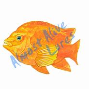 Image result for Fish Vinyl Decals