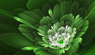 Image result for Pale Green Floral Wallpaper