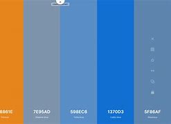Image result for Coolors Color Palette Generator