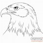 Image result for Bald Eagle Drawing Step by Step