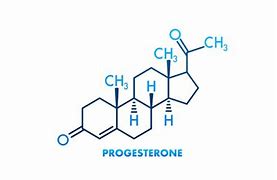 Image result for Progesterone