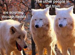 Image result for 2 Wolves Laughing Meme