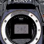 Image result for Diagram Sony A100