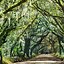 Image result for Things to Do in Charleston SC This Weekend for Kids