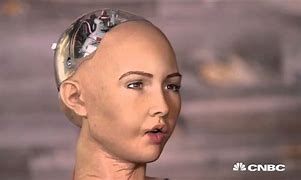 Image result for Robot-Human Dolls