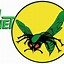 Image result for Green Hornet