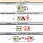 Image result for Cell Signal Transduction