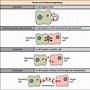 Image result for Plant Signaling Molecules