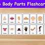 Image result for Physical Features Flashcards
