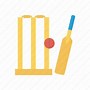 Image result for Cricket Bowling Icon