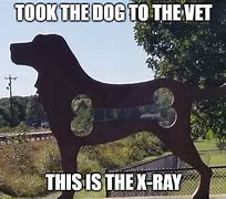 Image result for Dog Xray Meme