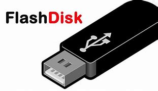 Image result for Flash Disk 50GB