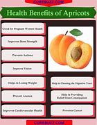 Image result for Health Benefits of Apricots