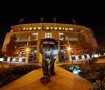 Image result for LSU Football